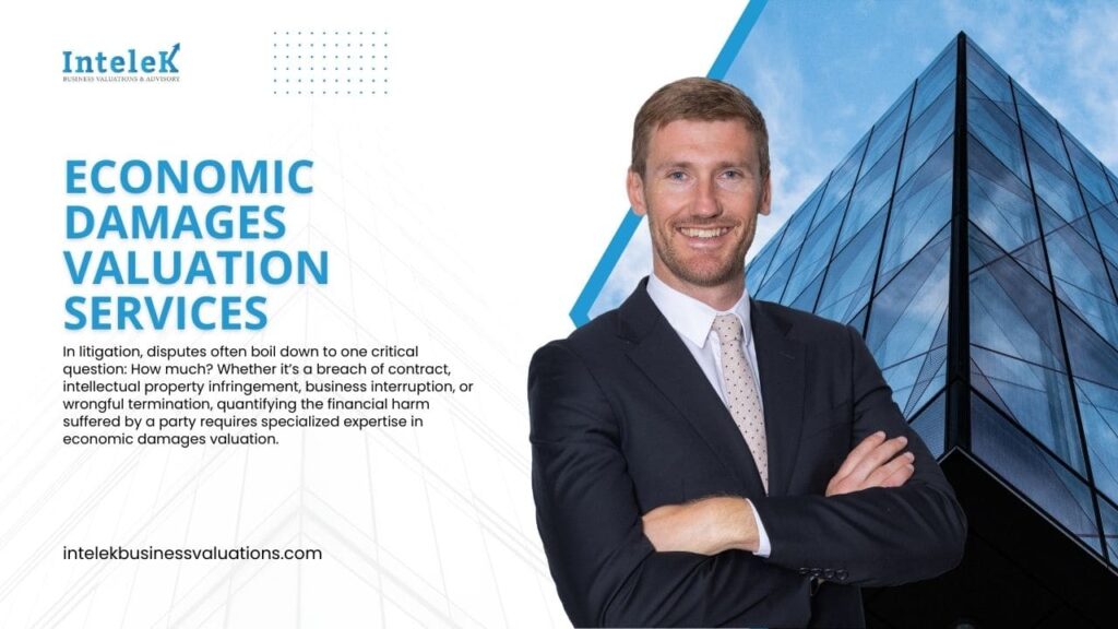 Economic Damages Valuation Services